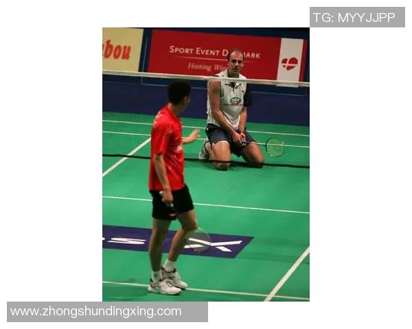 羽毛球顶级赛事选手技术及状态分析